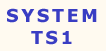 Go to System TS1